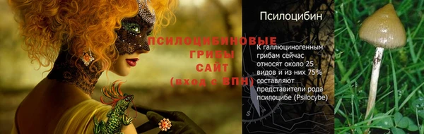 гашишное масло Аркадак