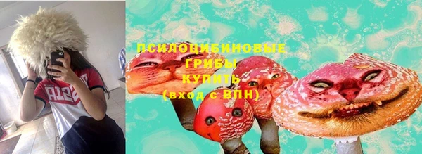 сатива Няндома