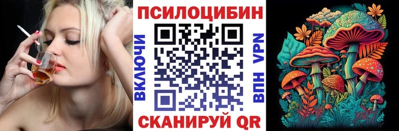 дарк нет клад  Покров  Псилоцибиновые грибы мицелий  где купить  